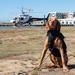 Coast Guard K9 poses for a photo