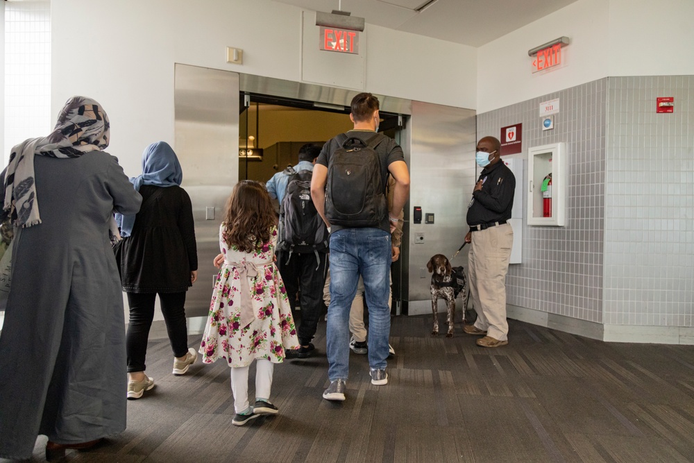 Afghan Guests Arrive in Philadelphia International Airport