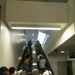 Afghan Guests Arrive in Philadelphia International Airport