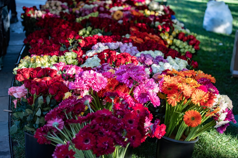 Tomb of the Unknown Soldier Centennial Commemoration Flower Ceremony - Day One