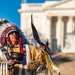 Opening Ceremony for the Tomb of the Unknown Soldier Centennial Commemoration