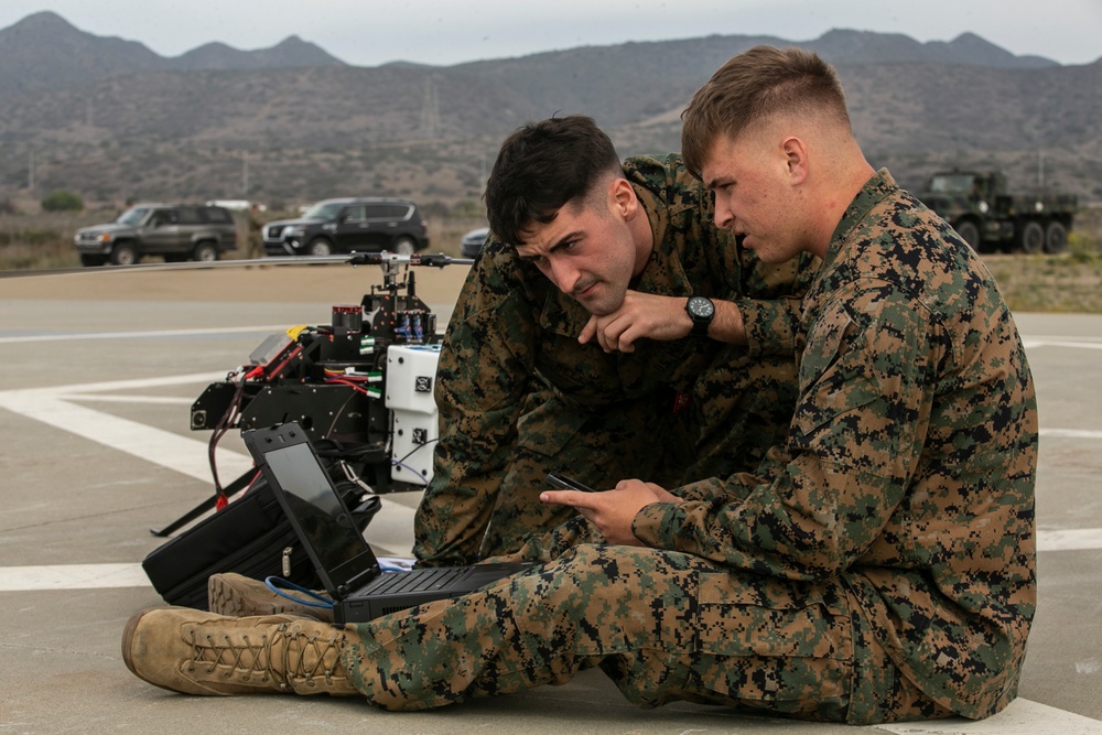 LERT/LEON 21 | Combat Engineers and EOD Marines with 9th, 7th ESB conduct littoral mobility and detection exercise