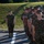 Lance Cpl. Gallegos Awarded for Bravery