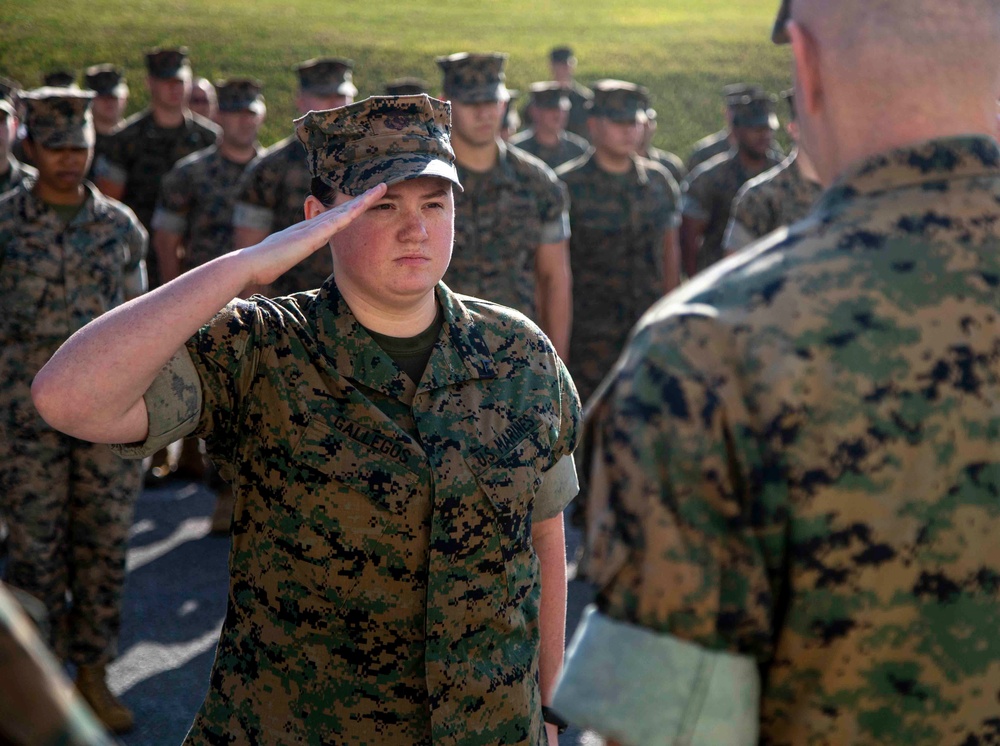 Lance Cpl. Gallegos Awarded for Bravery