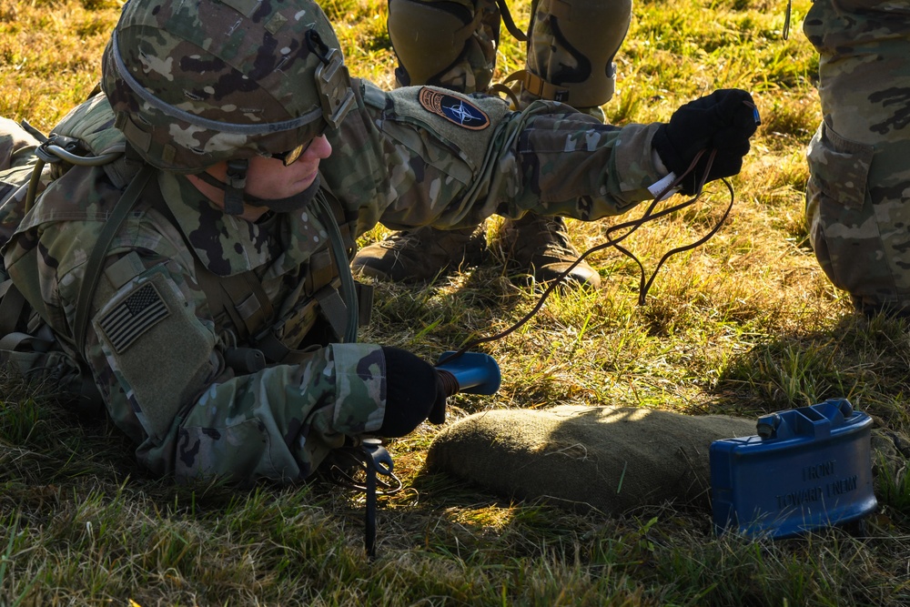 DVIDS - Images - 2nd Cavalry Regiment EIB/ESB [Image 12 of 17]