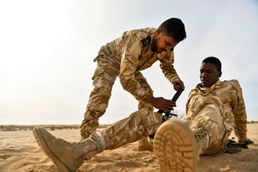 Mauritania Joint Combined Exchange Training