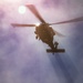 USAARL's UH-60M &quot;FORGE-612&quot; conducts dynamic hoist operations at Project Convergence 21