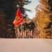 The 26th Marine Expeditionary Unit run 246 Miles in honor of the Marine Corps 246th Birthday