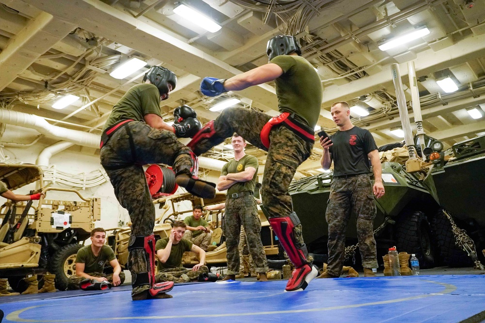 11th MEU Practices Martial Arts aboard USS Portland (LPD 27)