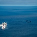 USNS Mercy (T-AH 19) Conducts Flight Operations During MERCEX 22-1