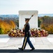 National Veterans Day Observance at Arlington National Cemetery