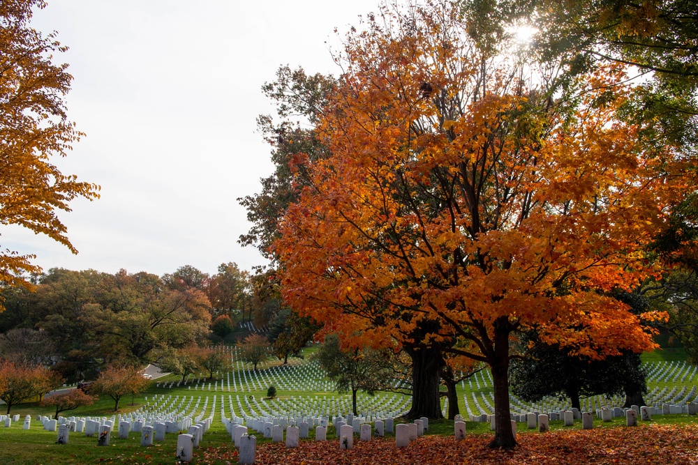 Arlington National Cemetery Veterans Day events 2021