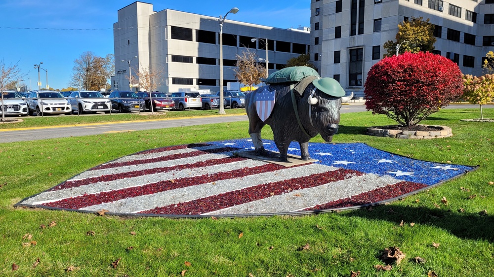 USACE Buffalo District at the VA WNY Medical Center Veterans Day 2021 Ceremony