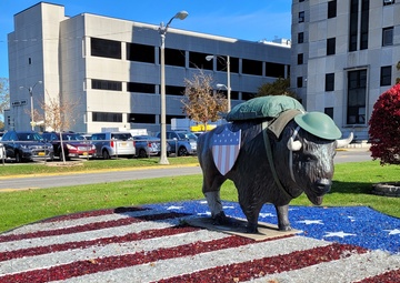 USACE Buffalo District at the VA WNY Medical Center Veterans Day 2021 Ceremony