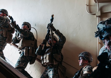 So U.S. Marines and Canadian Soldiers walk into a building...