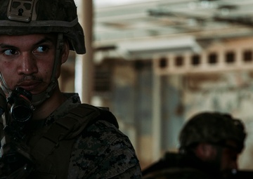 So U.S. Marines and Canadian Soldiers walk into a building...