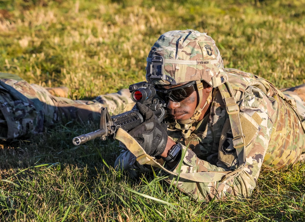 LZPZ Training