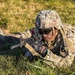 LZPZ Training