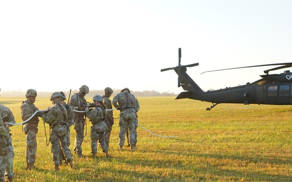 101st Airborne Division (Air Assault)