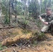 CPT John Eads collects insect while deployed to Okinawa