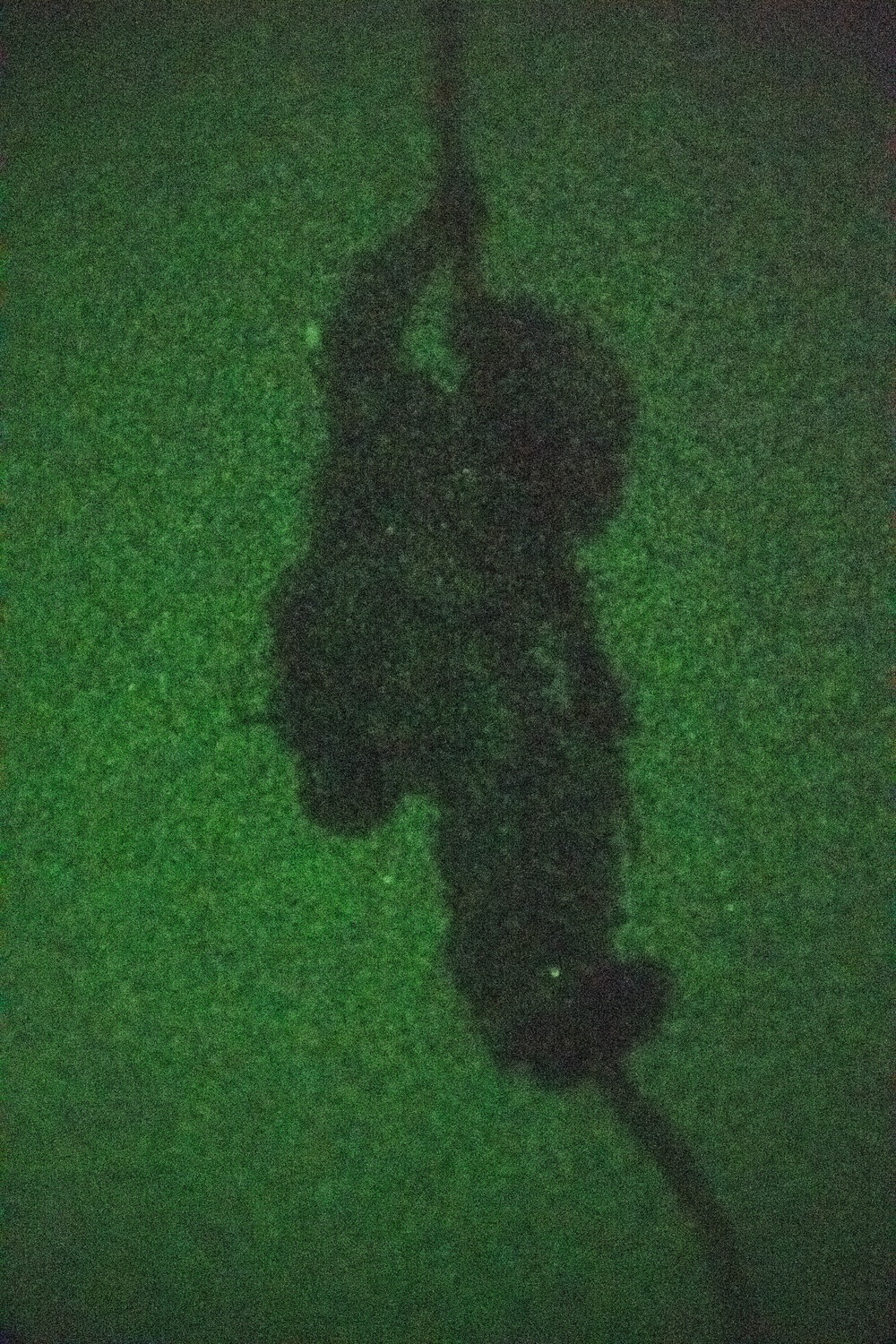 3d Recon Heliborne Raid