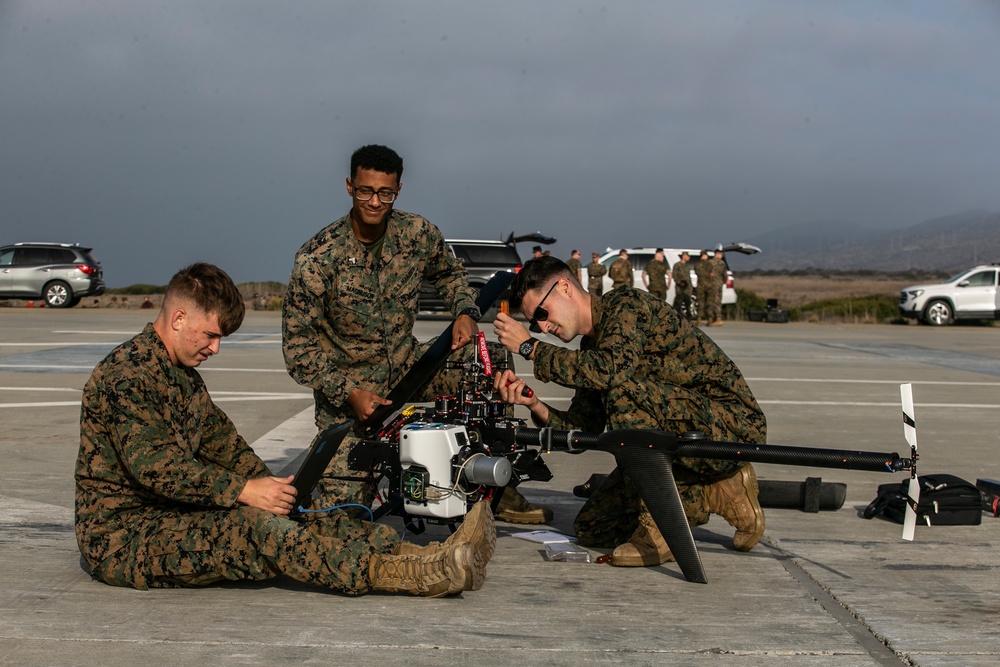 LERT/LEON 21 | Combat Engineers and EOD Marines with 9th, 7th ESB conduct littoral mobility and detection exercise