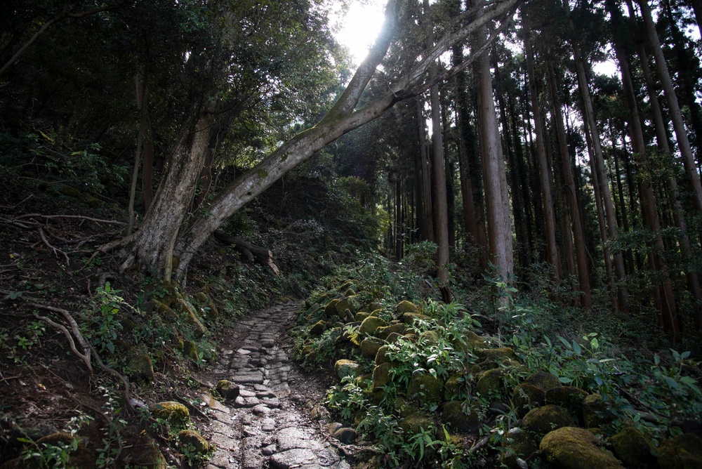 A Venture Up Mt. Nokogiriyama