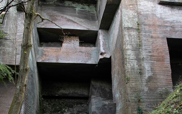 A Venture Up Mt. Nokogiriyama