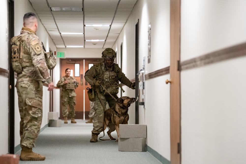 60th SFS conducts K-9 unit training with local law enforcement agencies