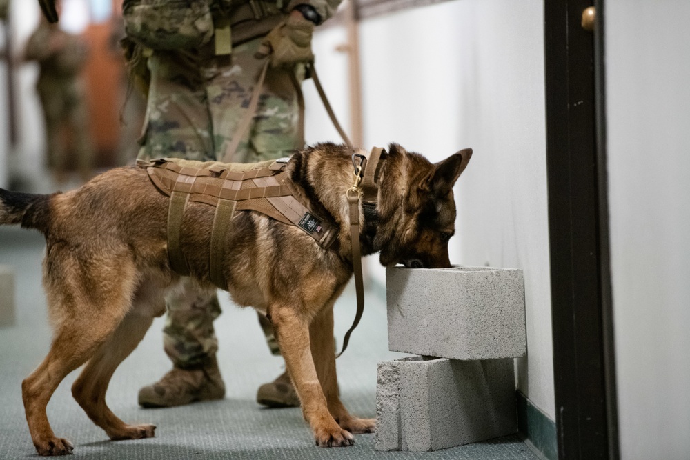 60th SFS conducts K-9 unit training with local law enforcement agencies