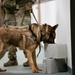 60th SFS conducts K-9 unit training with local law enforcement agencies