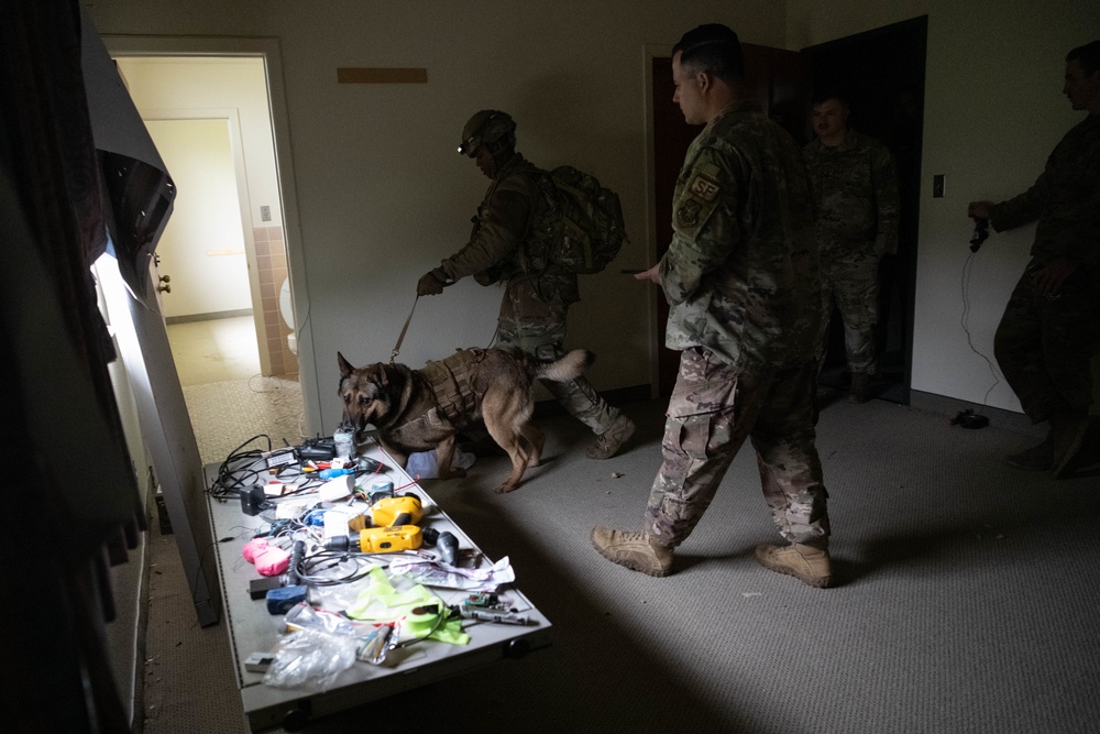 60th SFS conducts K-9 unit training with local law enforcement agencies