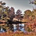 Fort McCoy's Stillwell Lake Recreation Area