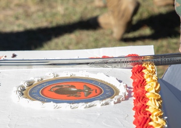 MCCSSS Commands Celebrate 246th Marine Corps Birthday