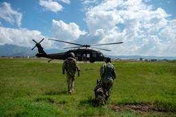 MWDs train on helicopter, medevac operations