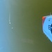 Navy pilots assist Coast Guard in rescuing a downed civilian aircraft