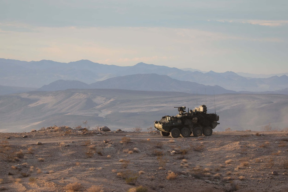 20th CBRNE Command Soldiers hone combat skills with 4th Infantry Division at NTC