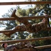 Obstacle Course for the Regional Health Command-Atlantic 2021 Best Medic Competition