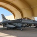 176th EFS trains integrated combat turns