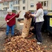 Fall Clean Up event winding down
