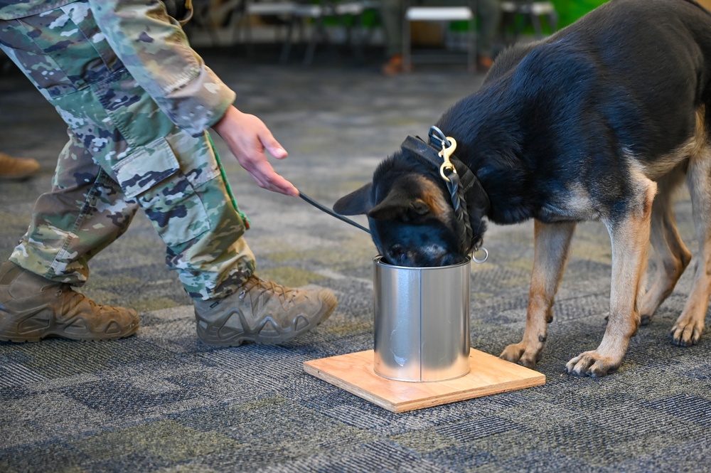 75th SFS MWDs, handlers participate in joint training with regional K-9s