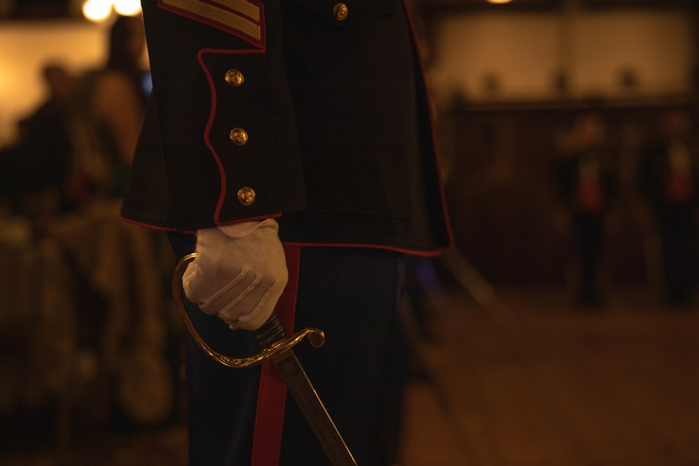 3d Marine Division Marine Corps Birthday Ceremony