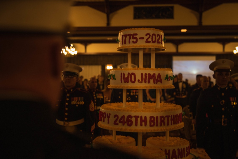 3d Marine Division Marine Corps Birthday Ceremony