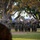 A military marching band, dressed in camouflage uniforms consistent with the U.S. Marine Corps, performs outdoors on a grassy area beneath large trees. The ensemble includes brass instruments, woodwinds, and percussion, with a conductor visible directing the performance. A figure in the foreground, shown from behind and out of focus, appears to be observing or reviewing the band.