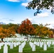 Fall Foliage at Arlington National Cemetery - 2021