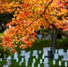 Fall Foliage at Arlington National Cemetery - 2021