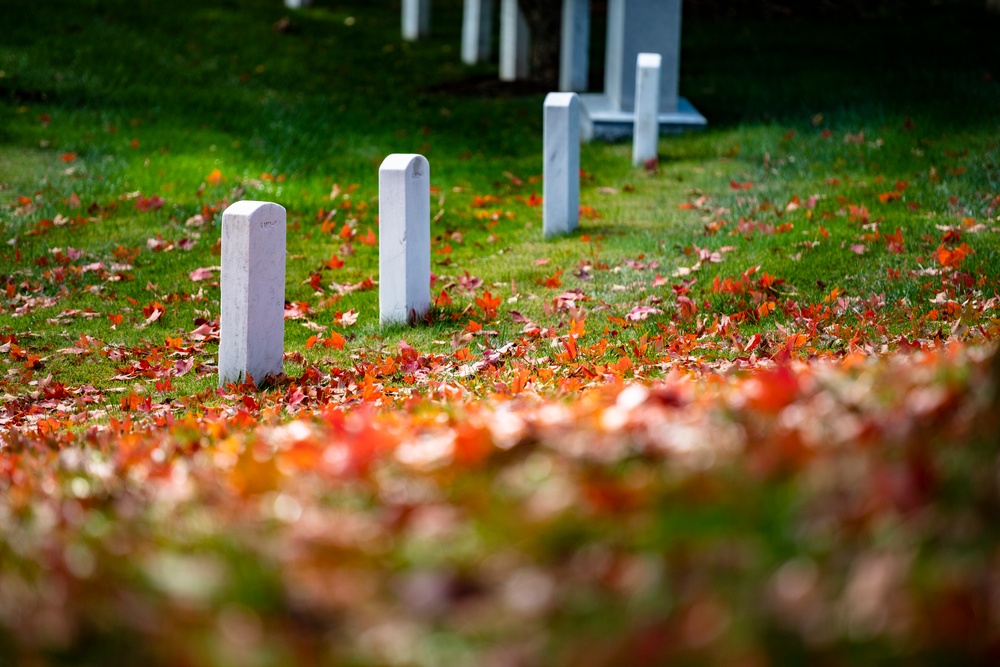 Fall Foliage at Arlington National Cemetery - 2021