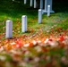 Fall Foliage at Arlington National Cemetery - 2021