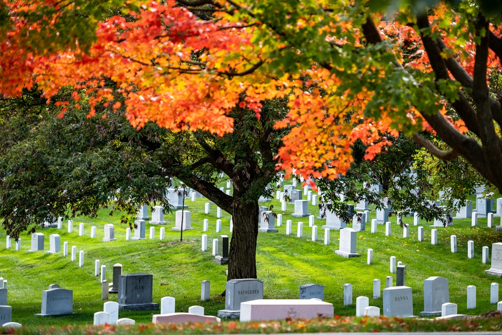 Fall Foliage at Arlington National Cemetery - 2021