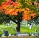 Fall Foliage at Arlington National Cemetery - 2021